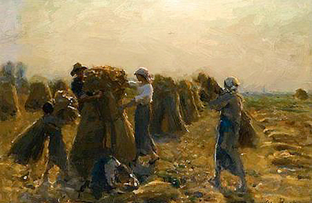 Picture of Harvesting in the Fields
